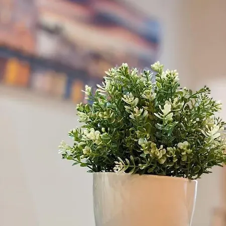 Isotta Apartamento *